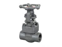 gate valve