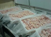 Halal Frozen Chicken Feet / paws for human consumption