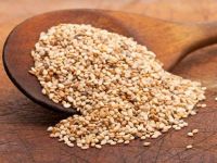 Bulk Sesame Seeds Supplier