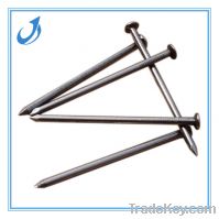 Sell galvanized common concrete steel nail