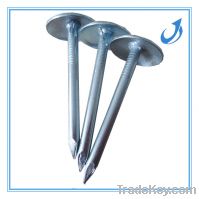 Sell polished umbrella head roofing nail