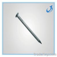 Sell bright Q195 steel concrete nails