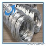 Sell Electro/Hot Dipped Galvanized Steel Wire Factory