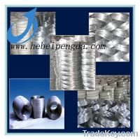 Sell zinc coated galvanized iron wire