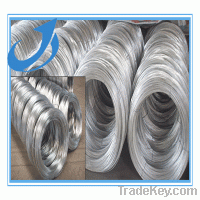 Sell hot-dipped galvanized iron wire