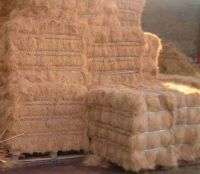 Sell offer for coir fibre