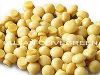 Sell Canned Mushrooms, Canned Foods, Canned Fruits, Canned Vegetables,