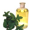 Sell Peppermint Oil
