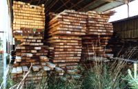 Ecuadorian teak lumber