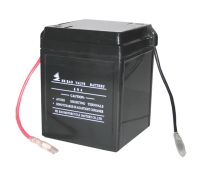 6V4AH Sealed Rechargeable Lead Acid Battery (6N4)