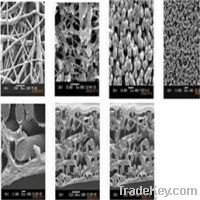Microporous Filter Membrane,