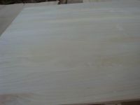 paulownia edge glued  board