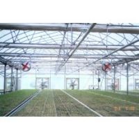 Ventilation System of Greenhouse