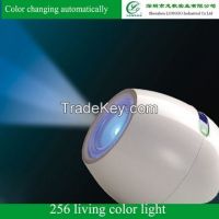 256C Living Color Light, color changing mood led light, led color changing landscape lights