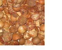 Sell Betel Nuts from Bangladesh