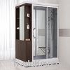 computerized steam room JS823