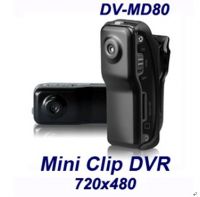 Sell DV 80 Mini DV Camcorder