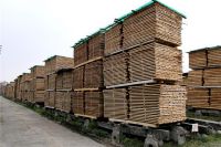 Sell WHITE WOOD ABD BEECH WOOD  BULK