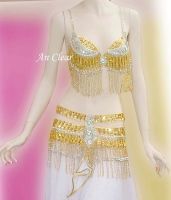 Belly Dance Costumes (No. 39668)