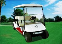 golf carts(golf car, golf cart)