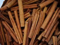 Sell Cinnamon Stick