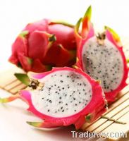 White dragonfruit puree