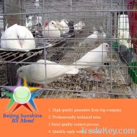 Sell Battery cages, animal cages