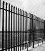 Sell palisade fencing