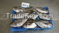 BUTTERFISH WHOLE