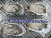 Sell half shell oyster