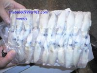 Sell baby squid (loligo japanicus)