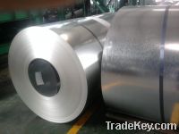 Sell hot dipped galvanized steel Coil