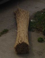 sell water reed bundle/reed sheaf