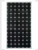 Sell  Solar Power/Panel 3W-200W