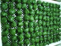 Sell IQF SPINACH LEAF BALLl