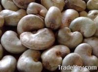 Sell raw cashe nut best quality with competitive rates