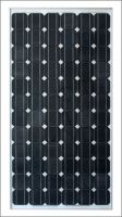 Sell Solar Panel