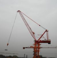 Jianglu Tower crane QTD480