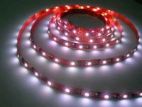 Sell RGB Self Adhesive Tape 30 Leds Per Metre 150 Lumen (Per Metre)