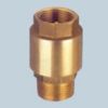 Sell brass spring  check valve