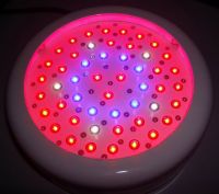 Sell 50W led grow light