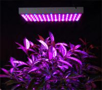 Sell 150 led grow light panel
