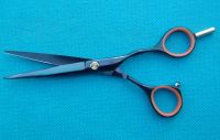 Sell Professional Hairdressing Scissors (ST39)