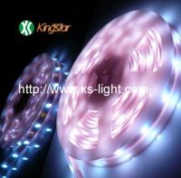 Sell LED Strip Light 04