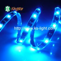 Sell LED Strip Light 09
