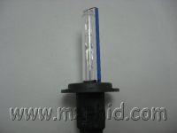 HID Single Lamp