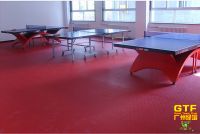 Durable PVC Sports Flooring for Table Tennis