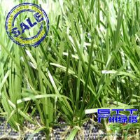 Thiolon PE Artificial Turf for Football Pitch