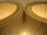 Bendy Plywood