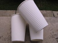 Sell Single / Double Sides Paper Cup